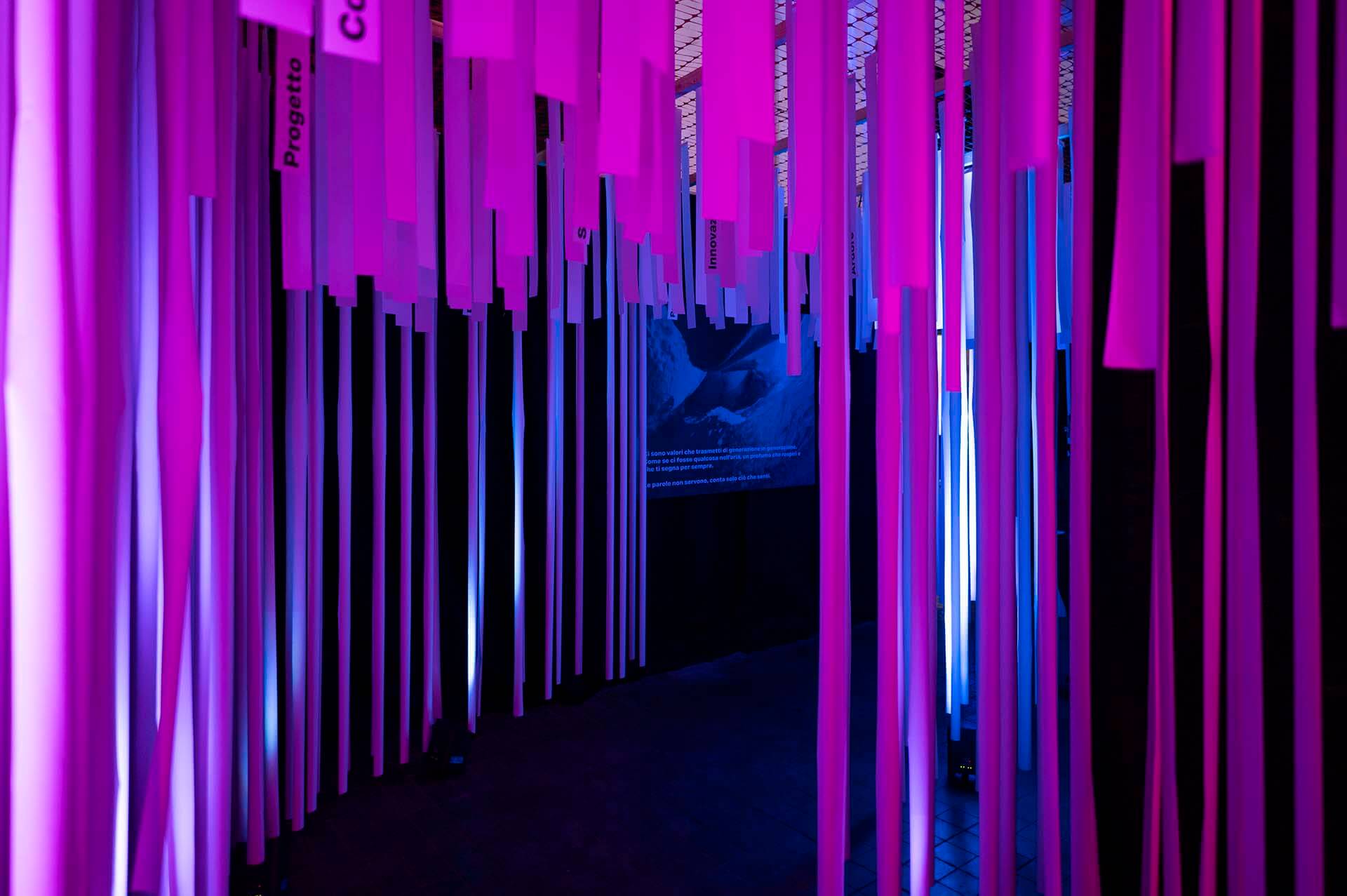 Beplano | House of Brands > 